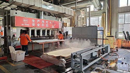 福庆孕婴板绿色工厂开放日 领略品质工艺,守护孕婴未来