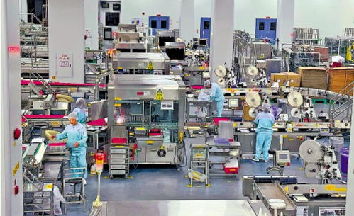百年港企当链主 带动江门食品产业升级
