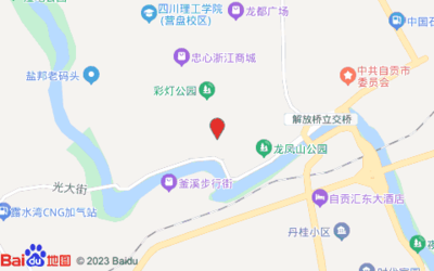 四川省自贡市自流井区五星街街道中华路399号