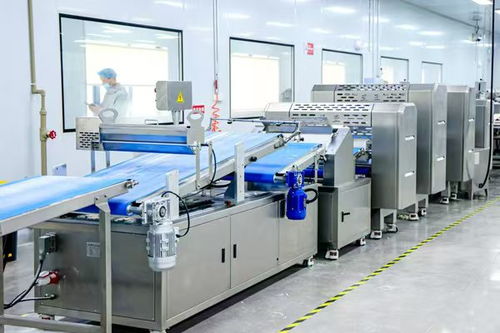 高校赋能 西南地区最大中式主食冻品生产工厂投入使用