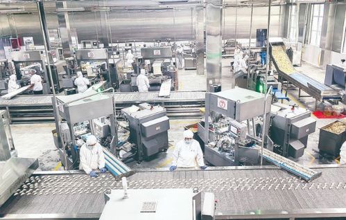 南乐县 河南省增合食品速冻食品项目生产车间一隅